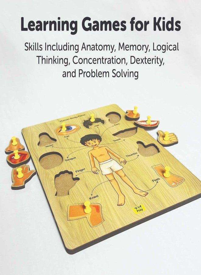 YaYplay Yay Play Wooden Human Body Parts Knob and Pegged Puzzle, 2+ Years | Preschool Educational Pegged Knob Puzzle Toy | Realistic Educational Game for Boy and Girl | Gift Toys for Kids - Image 5